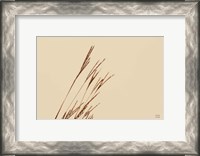 Framed Lakeside Grasses IV
