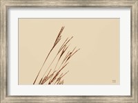 Framed Lakeside Grasses IV
