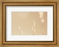 Framed Lakeside Grasses I