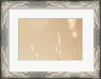 Framed Lakeside Grasses I