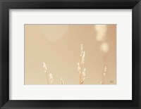 Framed Lakeside Grasses I