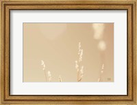 Framed Lakeside Grasses I