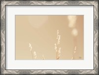 Framed Lakeside Grasses I