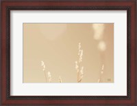 Framed Lakeside Grasses I