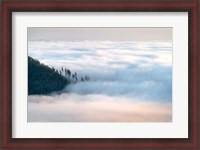 Framed Fog and Forest III