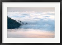 Framed Fog and Forest III