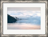 Framed Fog and Forest III