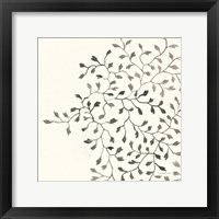 Framed Ink Leaf II