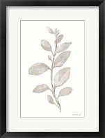 Gray Sage Leaves II on White Framed Print