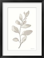 Framed Gray Sage Leaves I on White