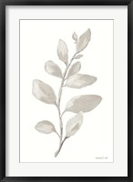 Framed Gray Sage Leaves I on White