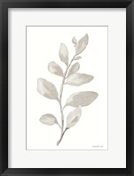 Gray Sage Leaves I on White Framed Print