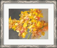 Framed Orchid Dreaming