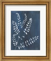 Framed Simple Nature I