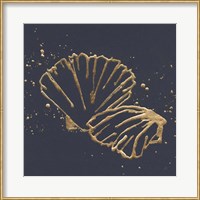 Framed Gold Scallop II