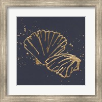 Framed Gold Scallop II