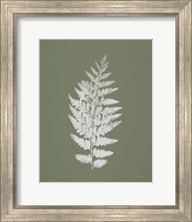 Framed 'True Green VII' border=