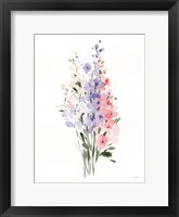 Framed Spring Blooms II