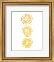 Framed 'Lemon Slices II' border=