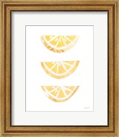 Framed 'Lemon Slices I' border=