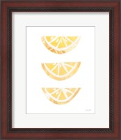 Framed 'Lemon Slices I' border=