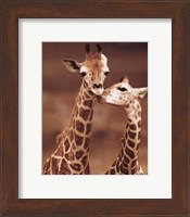 Framed Giraffe First Love