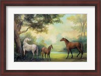 Framed Near the Pasture