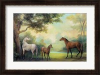 Framed Near the Pasture