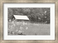 Framed Summer Farm III BW