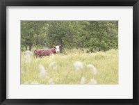 Framed Summer Farm II