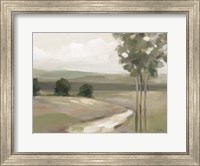 Framed Olive Trees