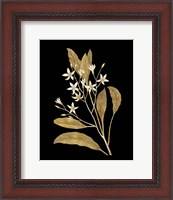 Framed Gold Botanical V on Black
