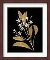 Framed Gold Botanical V on Black