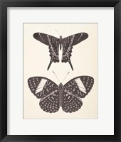 Papillons II Neutral Framed Print