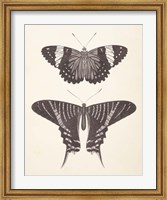 Framed Papillons I Neutral