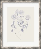 Framed Flowers on White V Blue