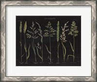 Framed Herbal Botanical VII Black