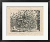 Framed French Park Etching II