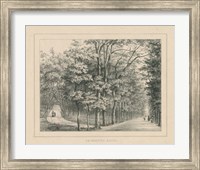 Framed French Park Etching II