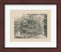 Framed French Park Etching II