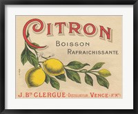 Framed Lemon Label