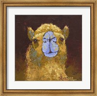Framed Camel