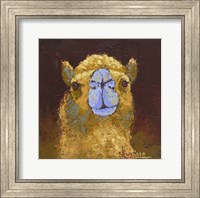 Framed Camel