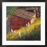 Framed Chickens