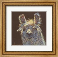 Framed Llama 1