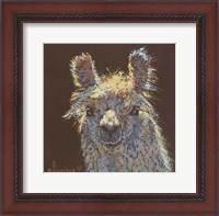 Framed Llama 1