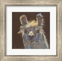 Framed Llama 1