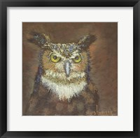 Framed Owl