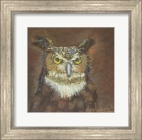 Framed Owl