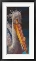 Framed Pelican